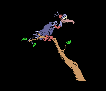 bird - vulture