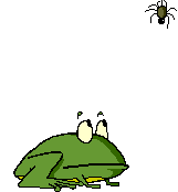 frog & spider
