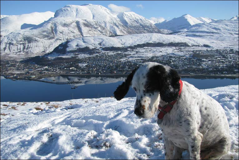 Winter - Loch Linnhe winter