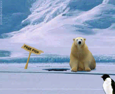 Polar bear & penguin
