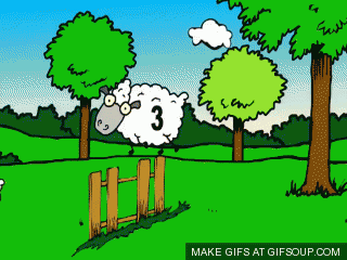 sheep-jumping-o