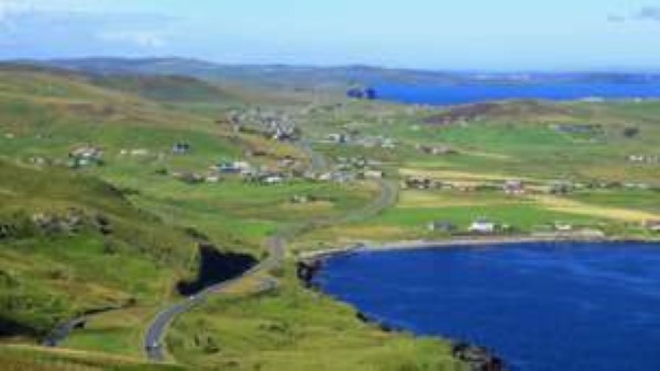 Summer - Cunningsburgh, Shetland