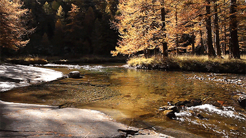 fall-river-2