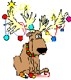 animated-reindeer-xmas-lights